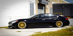 Videos - Amani Forged